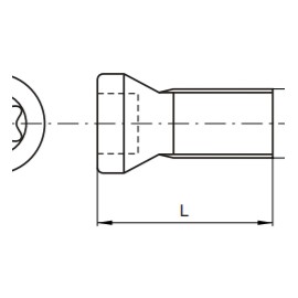 Tornillo de Fijaci?n de Inserto M5X13