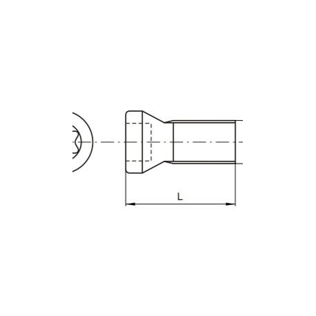 Tornillo de Fijaci?n de Inserto M5X13