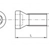 Tornillo de Fijaci?n de Inserto M5X13