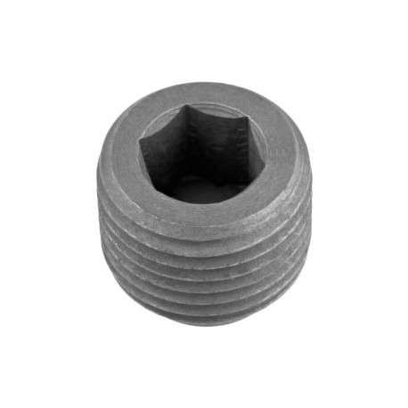 Socket Set Screw, M20 x 2.0 x 20mm long