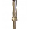 S100DRZ1000200008G DRILL BROCA DE INSERTOS INDEXABLES  DIAM. 1″