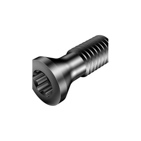 5513 020-36 SCREW