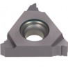 Inserto Carburo con Rompe Viruta (R) 22ER50ISOT313V