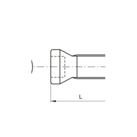 Tornillo de Fijaci?n de Inserto M3X7.6